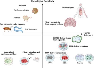 Building on a Solid Foundation: Adding Relevance and Reproducibility to Neurological Modeling Using Human Pluripotent Stem Cells